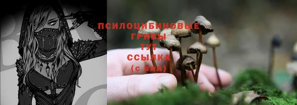 круглые Алексеевка