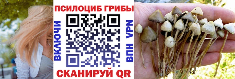 Галлюциногенные грибы Psilocybine cubensis где продают наркотики Кольчугино
